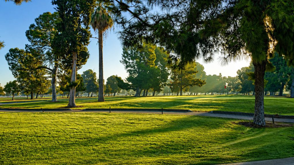 Golf green with flagstick and mature trees across the course on a sunny day.