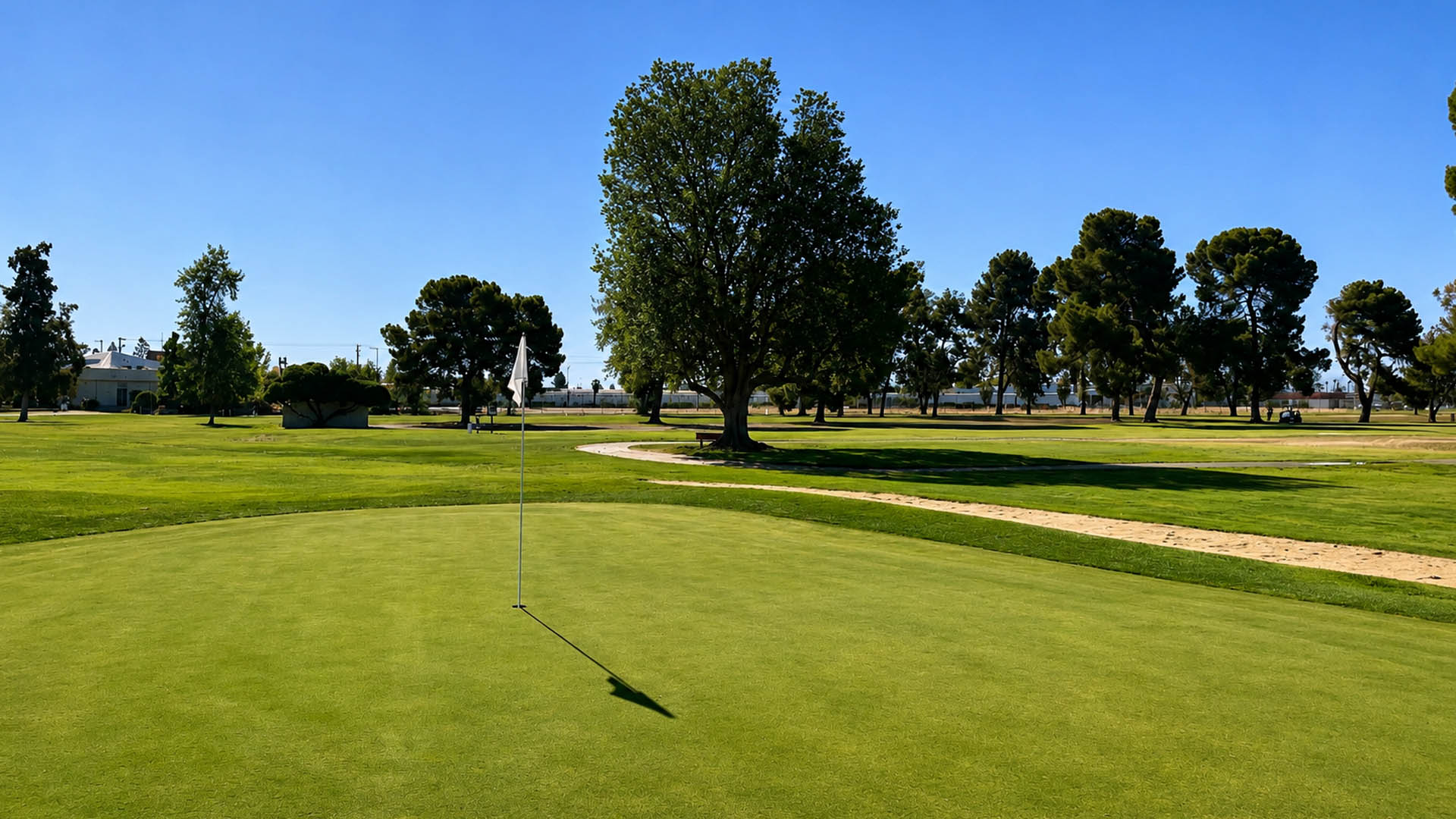 Putting green with flagstick surrounded by mature trees at Airways Golf Course.