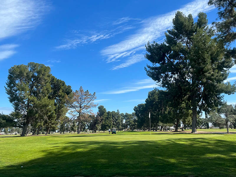 Tree-lined fairway at Airways Golf Course beneath a bright blue sky.