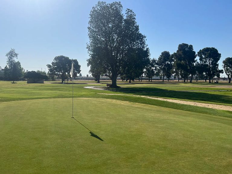 Golf green with flagstick and mature trees across the course on a sunny day.
