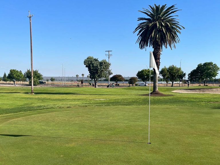 Putting green with flagstick and a tall palm tree at Airways Golf Course.