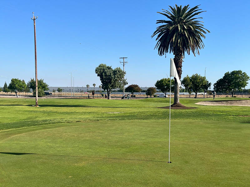 Putting green with flagstick and a tall palm tree at Airways Golf Course.