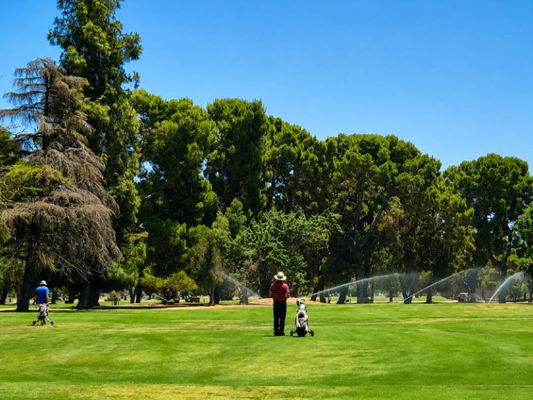 Golfer on the course as sprinklers water the fairway beneath mature trees and a blue sky.