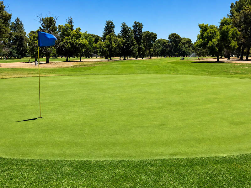 Close view of a smooth putting green and blue flag with the golf course stretching into the distance.